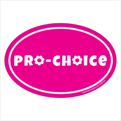 pro-choice car magnet